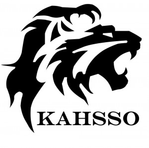 My name is Joanne. This September, I will be going into my fourth year of Specialized Honours in Kinesiology BSC. As part of KAHSSO Peer Tutors, I will be tutoring KINE 2031: Human Anatomy (Fall) and KINE 3012: Human Physiology II (Winter). I'm 99% approachable and 1% craaaazy... to help you succeed :D!